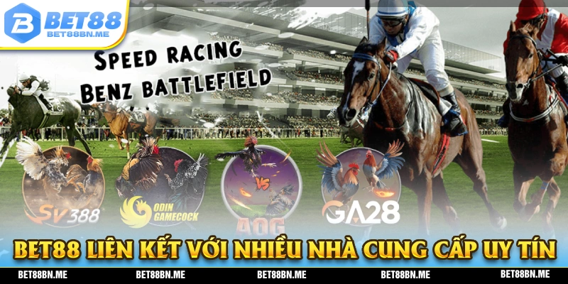BET88 liên kết cùng nhiều nhà cung cấp đá gà uy tín