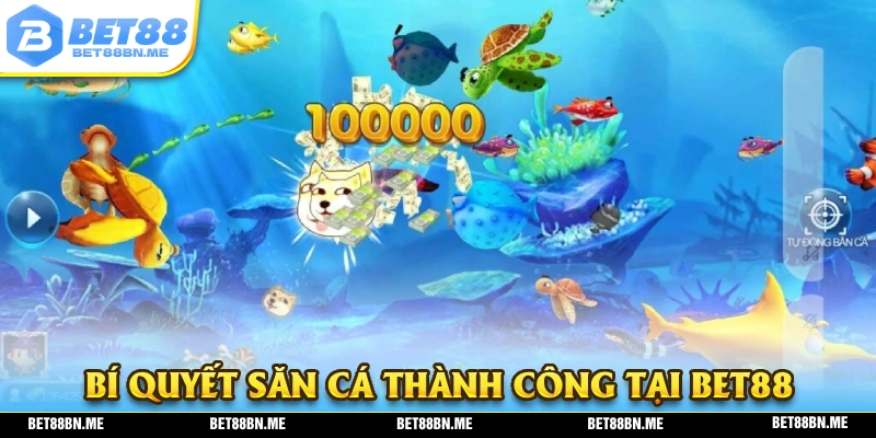 Bí quyết để người chơi có được những phiên săn cá thành công tại BET88