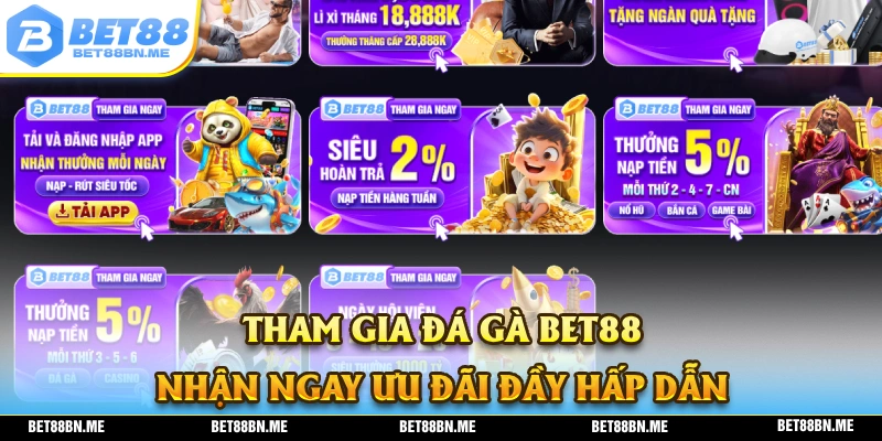 Tham gia đá gà BET88 và có cơ hội nhận về nhiều ưu đãi đầy giá trị
