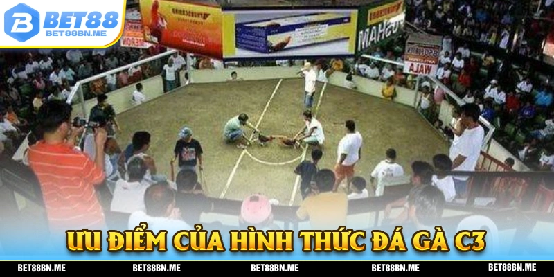 Ưu điểm hấp dẫn của hình thức đá gà C3